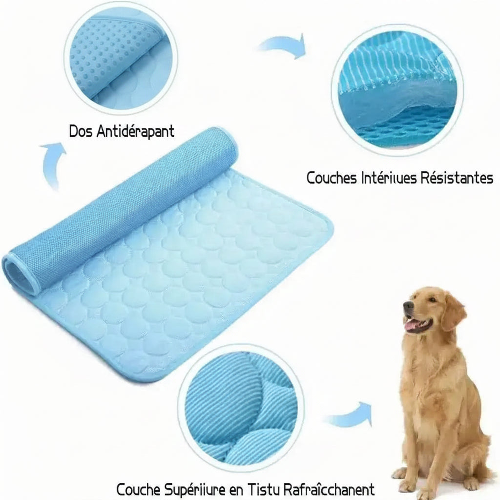 Tapis rafraîchissant en soie glacée pour chien, respirant et lavable – Couverture pour lit et canapé pour petits et grands chiens et chats