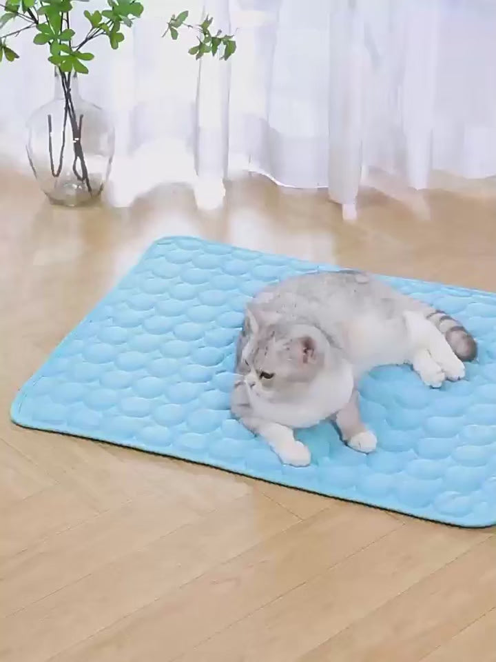 Tapis rafraîchissant en soie glacée pour chien, respirant et lavable – Couverture pour lit et canapé pour petits et grands chiens et chats